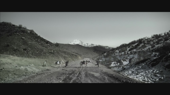 Turkish film questions borders, women's issues and smuggling